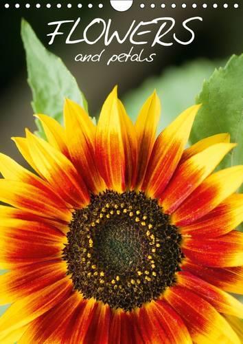 Flowers and Petals 2017