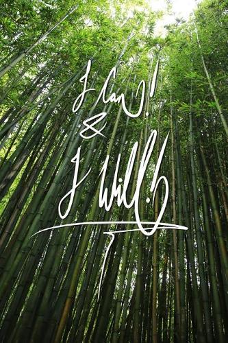 I can and I will