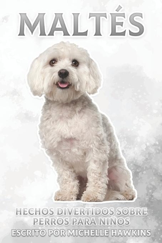 Maltés: Hechos divertidos sobre perros para niños #31(Hechos Divertidos Sobre Perros Para Niños)
