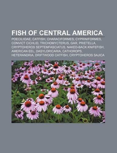 Fish of Central America