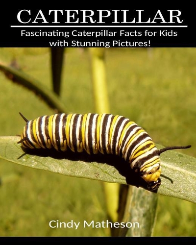 Caterpillar: Fascinating Caterpillar Facts for Kids with Stunning Pictures!