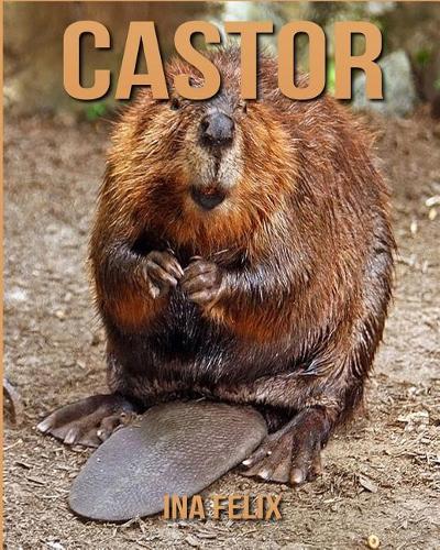 Castor
