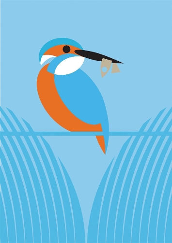 I Like Birds: River, Estuary & Shore: Boxed Set of 3 Bird-Themed Journals(I Like Birds)