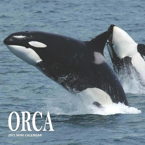 Orca