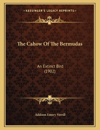 The Cahow Of The Bermudas