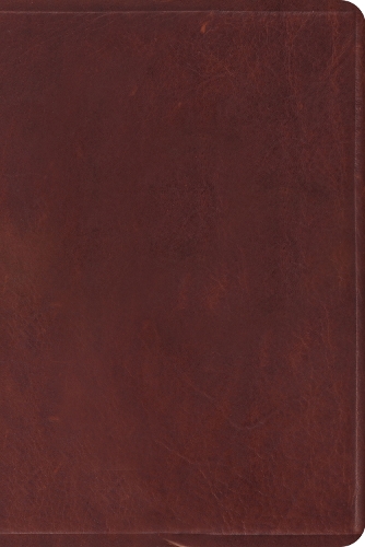 ESV Study Bible, Personal Size: English Standard Version, Brown, Natural Leather, Personal Size