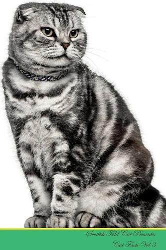 Scottish Fold Cat Presents