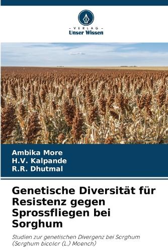 Genetische Diversität für Resistenz gegen Sprossfliegen bei Sorghum