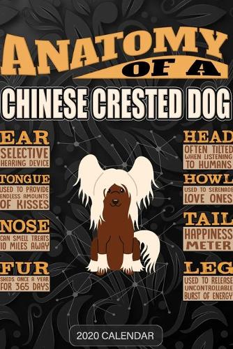 Anatomy Of A Chinese Crested Dog