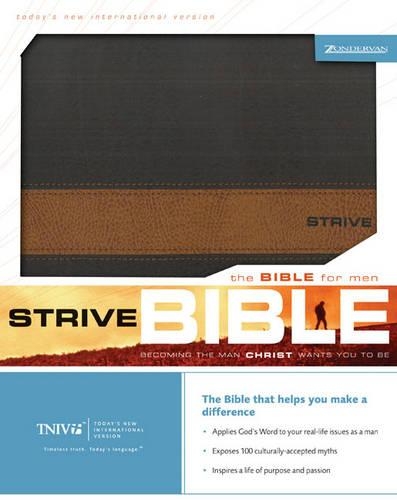 TNIV Strive Bible for Men GM