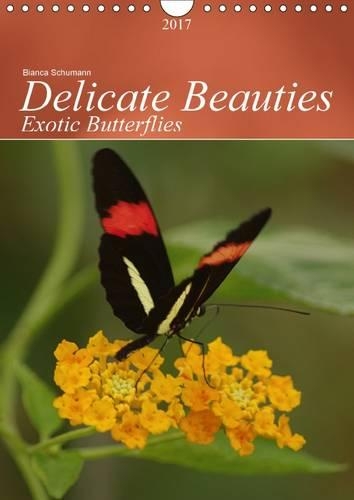 Delicate Beauties Exotic Butterflies 2017