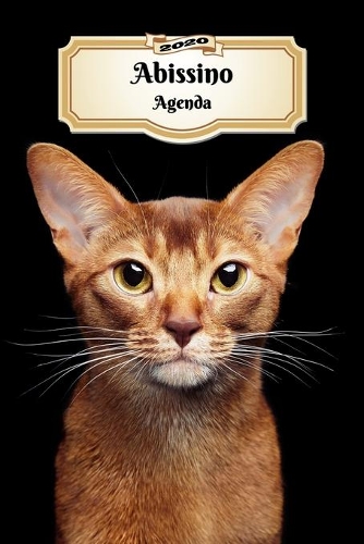 2020 Abissino Agenda