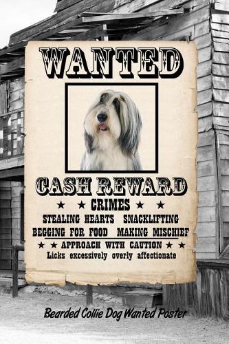Bearded Collie Dog Wanted Poster