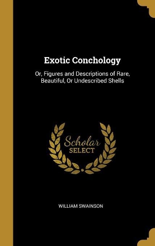 Exotic Conchology