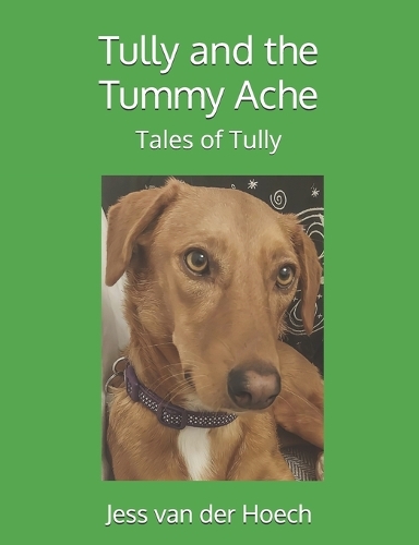 Tully and the Tummy Ache: (8 Tales of Tully)