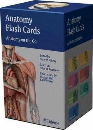 Anatomy Flash Cards