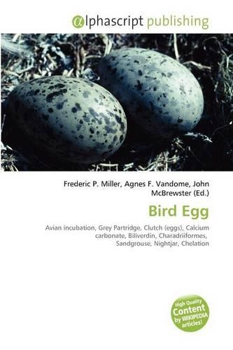 Bird Egg