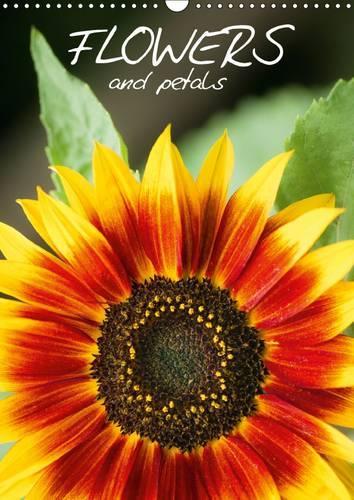 Flowers and Petals 2017