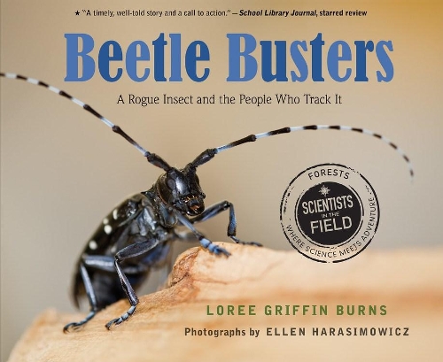 Beetle Busters: A Rogue Insect and the People Who Track It(Scientists in the Field Series)