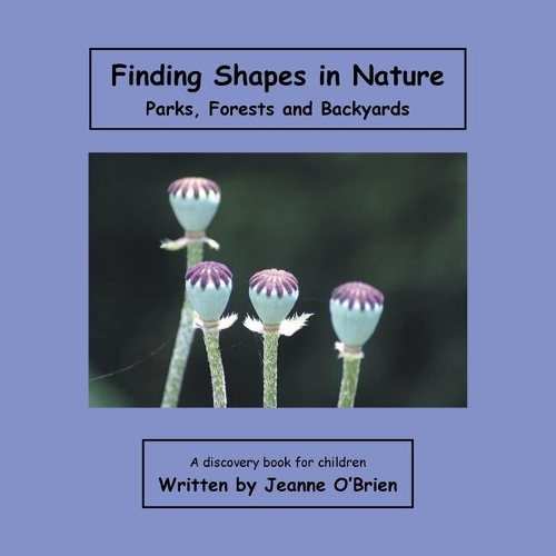 Finding Shapes in Nature