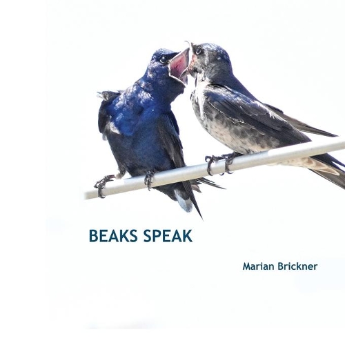 Beaks Speak