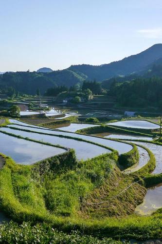 Flooded Rice Terraces in Japan Journal