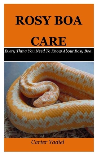 Rosy Boa Care