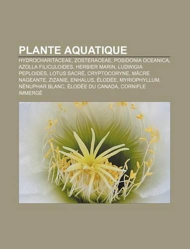 Plante Aquatique