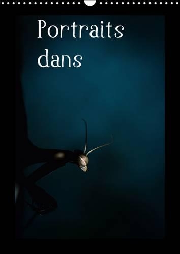 Portraits Dans L'herbe 2017: Portrait D'insectes Des Pyrenees Dans Leur Environnement(Calvendo Nature)