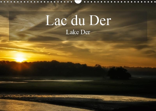 Lac du Der Lake Der 2019