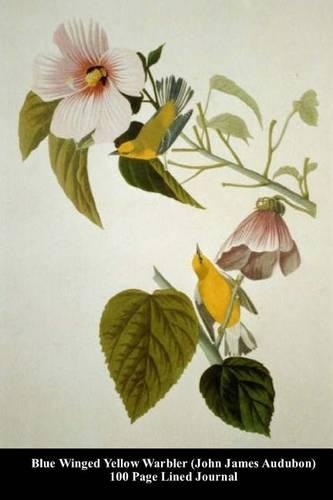 Blue Winged Yellow Warbler