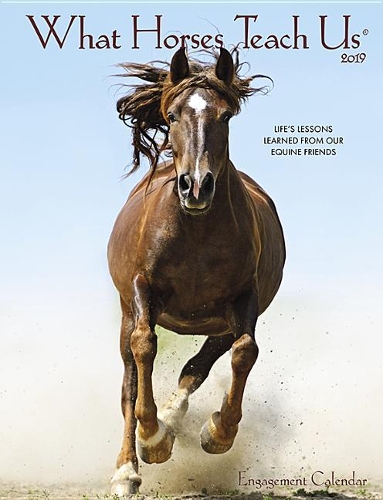 What Horses Teach Us 2019 Engagement Calendar