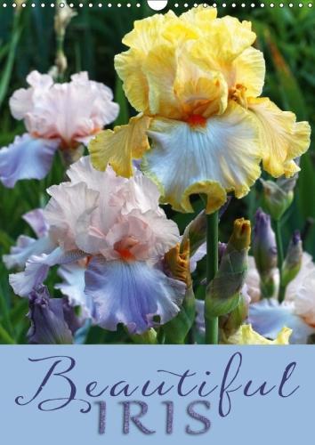 Beautiful Iris 2018: 12 Gorgeous Iris Portraits in the Garden(Calvendo Nature)