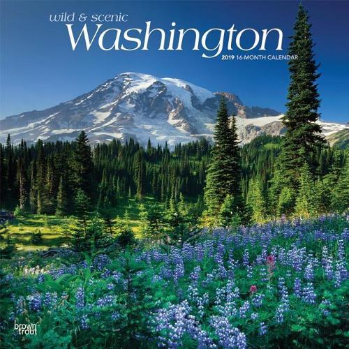 Washington Wild & Scenic 2019 Square