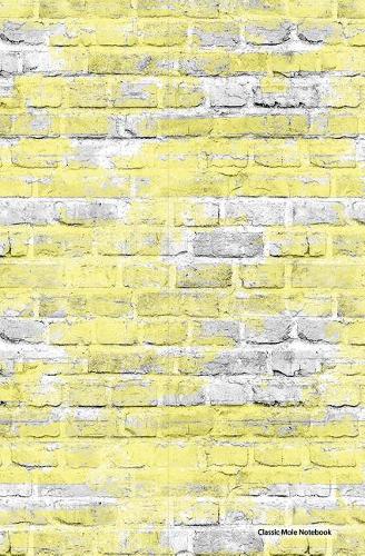 Classic Mole Notebook - Wreck This Brick