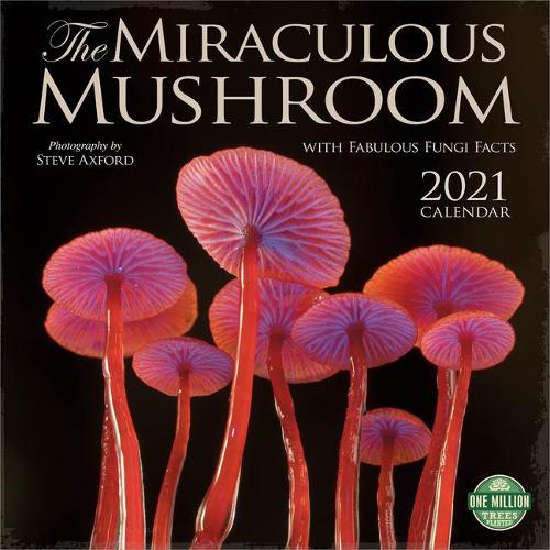 Miraculous Mushroom 2021 Wall Calendar: With Fabulous Fungi Facts