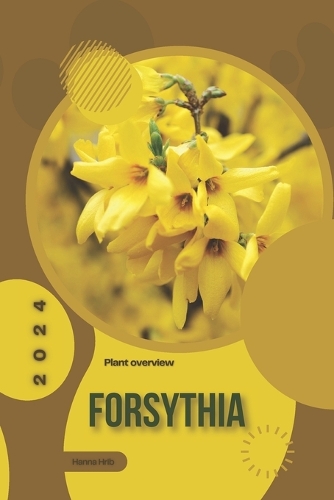 Forsythia