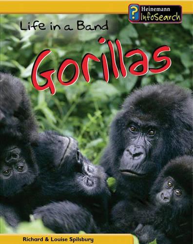 Life in a Band of Gorillas: (Animal Groups)