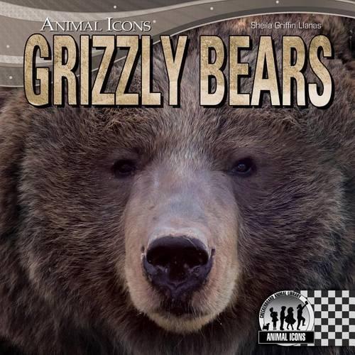 Grizzly Bears