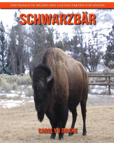 Schwarzbär