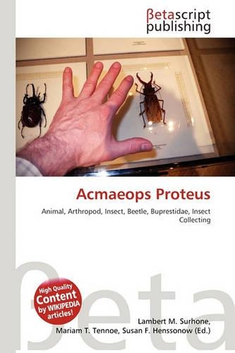 Acmaeops Proteus: (English)