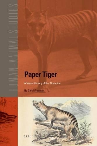 Paper Tiger