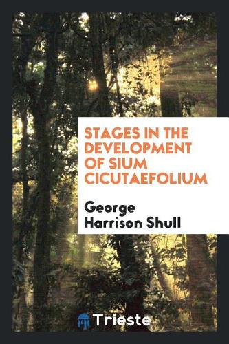 Stages in the Development of Sium Cicutaefolium