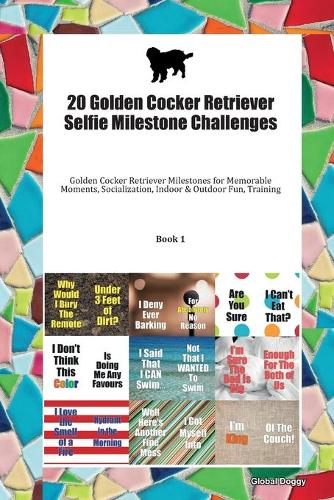 20 Golden Cocker Retriever Selfie Milestone Challenges