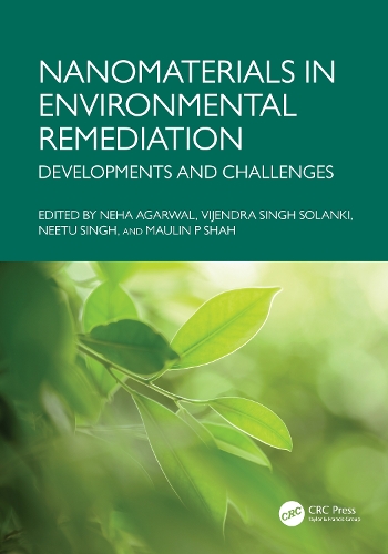 Nanomaterials in Environmental Remediation: Developments and Challenges