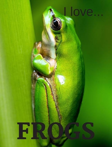 I Love Frogs