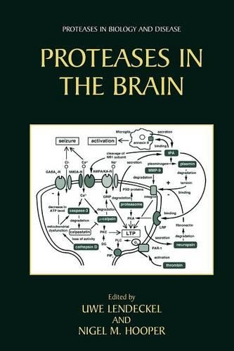 Proteases in the Brain