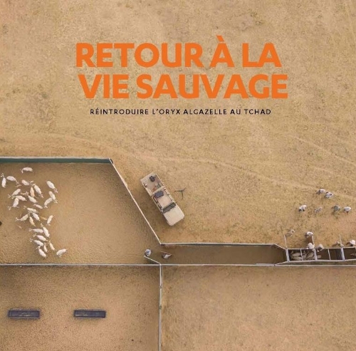 Retour a la vie sauvage