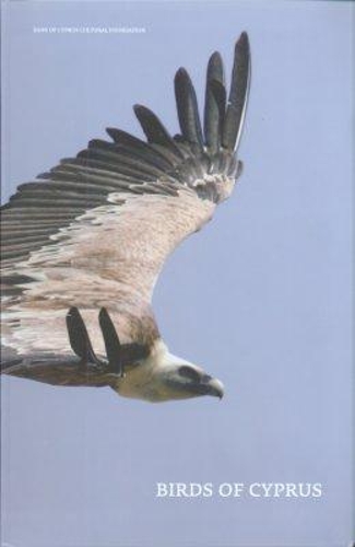 Birds of Cyprus