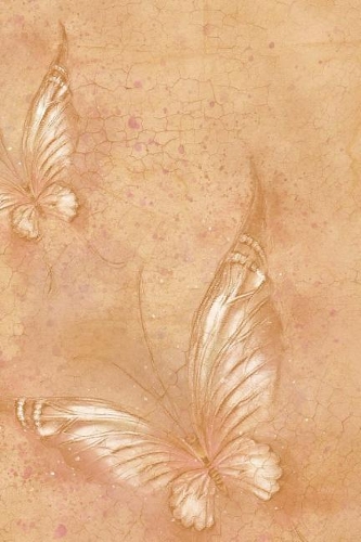 Butterflies Notebook